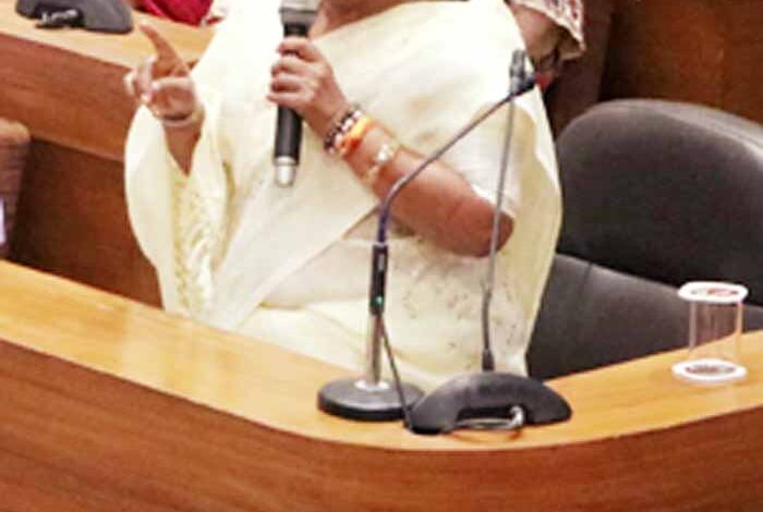 भोपाल नगर निगम बजट:शहर को मूलभूत सुविधाओं के साथ तालाबों का संरक्षण करेगी शहर सरकार