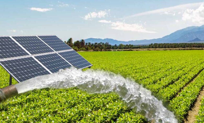 MP में सोलर पंप योजना अधूरी: 52 हजार का लक्ष्य, 40,662 पर ही अटकी रफ्तार