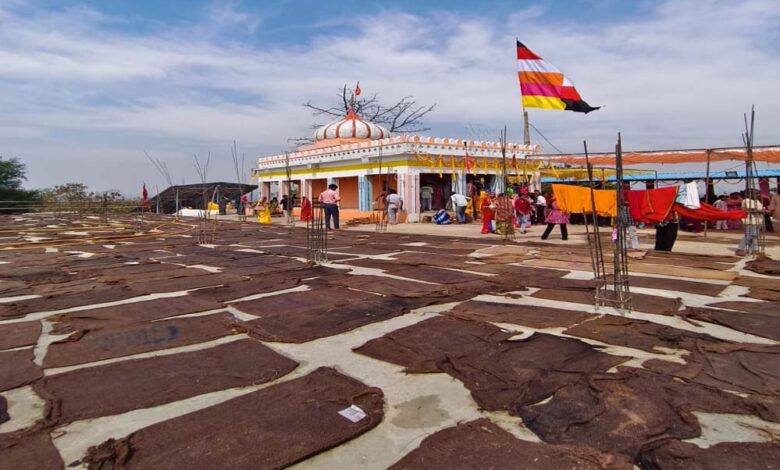 मां बिरासिनी धाम बिलासपुर में चैत्र नवरात्रि के नवमी के दिन श्रद्धा का उमड़ा सैलाब