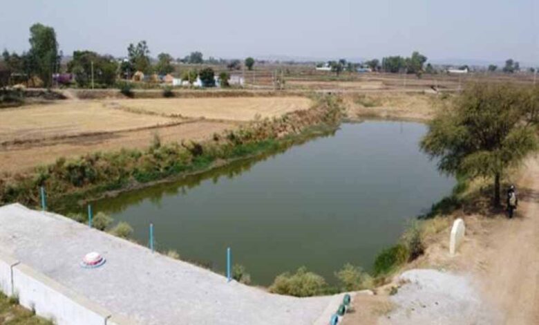 अमृत सरोवर से रिझोरा में लौटी हरियाली और खुशहाली