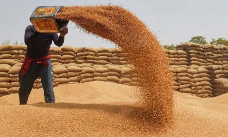 मालवांचल, नर्मदापुरम और भोपाल संभाग में 10 अप्रैल से गेहूं उपार्जन, बाकी संभागों में 15 मार्च से शुरू होगी खरीदी