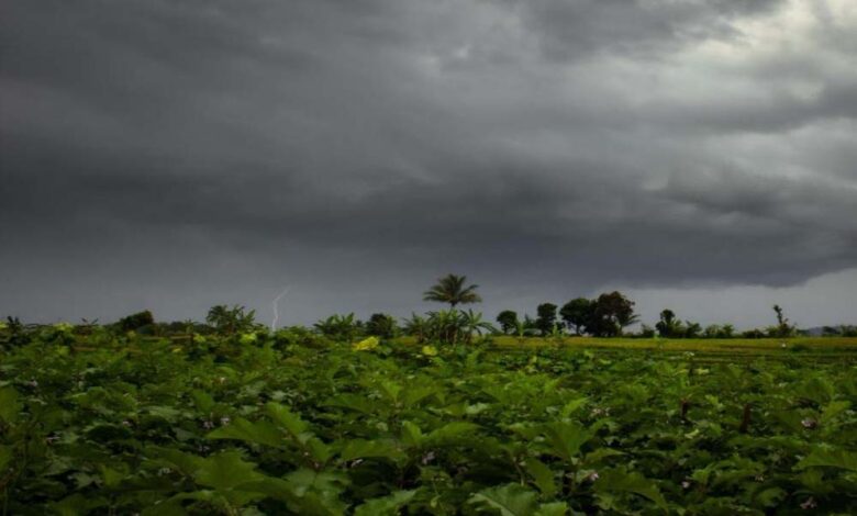 MP में 5 अप्रैल तक ओले और आंधी-बारिश की चेतावनी, भोपाल-इंदौर समेत 30 जिलों में बारिश का अलर्ट