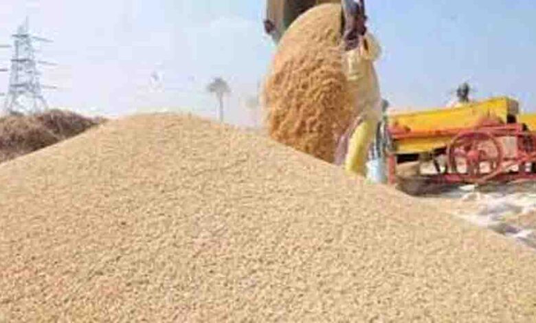 देशभर में गेहूं की सरकारी खरीद शुरू, 2585 रुपये प्रति क्विंटल के नए MSP से किसानों को मिलेगा बड़ा लाभ