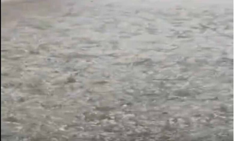 ग्वालियर में मौसम का यू-टर्न: धूप के बाद ओलों की मार, ‘बर्फबारी’ जैसे नजारे से सहमा शहर