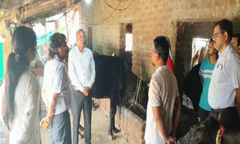 पशुओं में नस्ल सुधार का कार्य बेहतर ढंग से करें : प्रमुख सचिव  उमराव