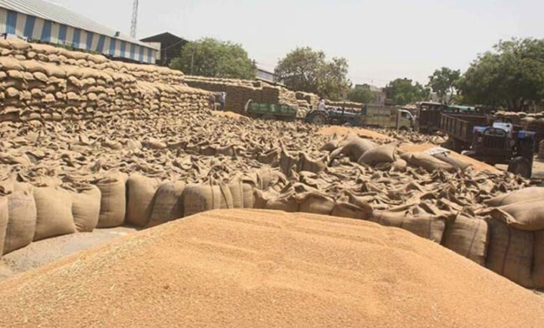 किसानों के लिए खुशखबरी, एमपी के चार संभागों में आज से गेहूं खरीदी शुरू, बोनस का भी वादा