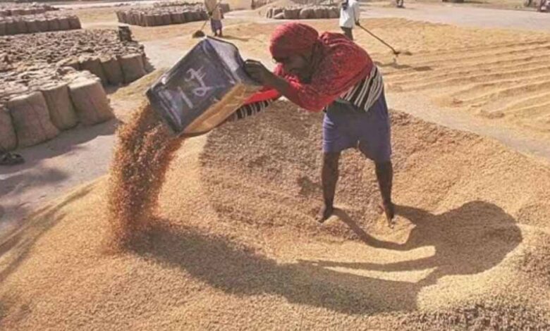 ग्वालियर में 14 हजार से अधिक किसान सरकारी समर्थन मूल्य पर बेचेेंगे गेहूं