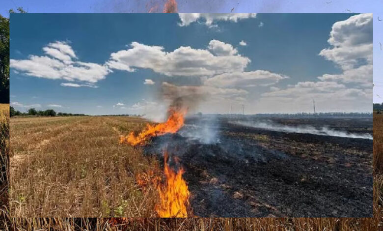 नरवाई में आग की 1016 घटनाएं, 19 किसानों पर 57 हजार जुर्माना, 852 को चिह्नित किया गया