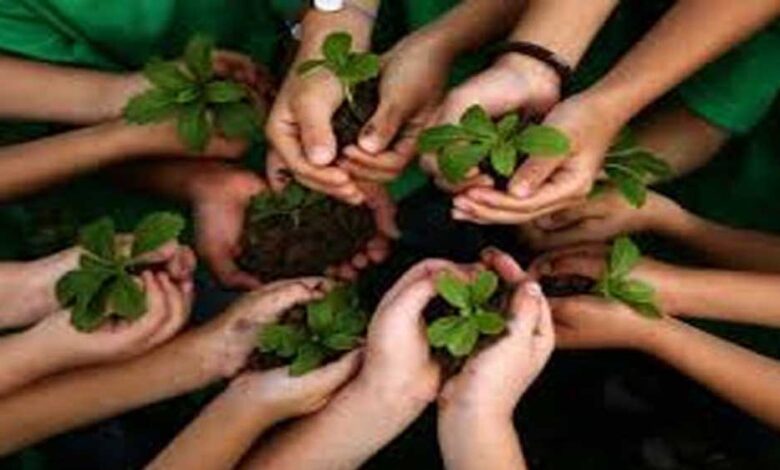 शहर को ग्रीन बनाने के लिए लगाए जाएंगे 25 लाख पौधे, 2 साल में पूरा होगा लक्ष्य, ठेकेदार की देखरेख में होगी प्रक्रिया