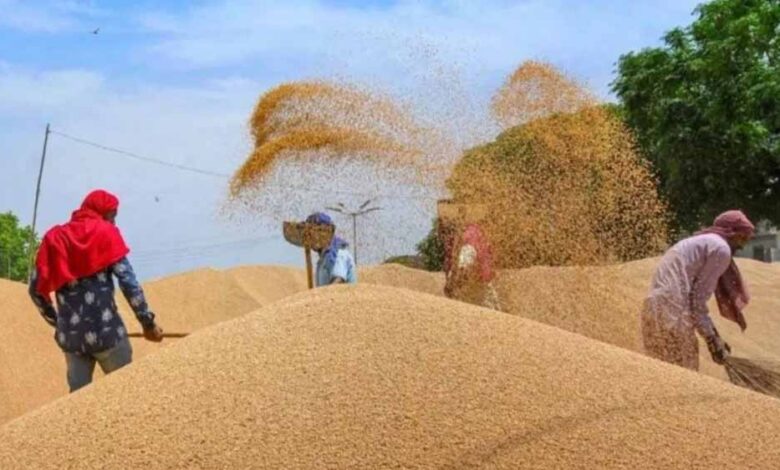 मध्यप्रदेश में गेहूं MSP और बोनस पर खरीद शुरू, रजिस्ट्रेशन वाले किसान होंगे मालामाल