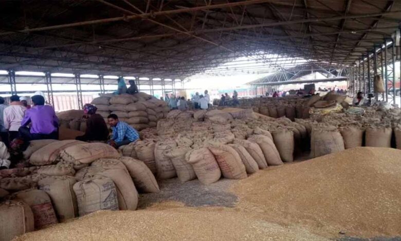 सभी संभागों में गेहूँ का उपार्जन शुरू : खाद्य मंत्री राजपूत