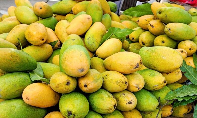 FSSAI का सख्त निर्देश: केमिकल से फल पकाने पर होगी कार्रवाई