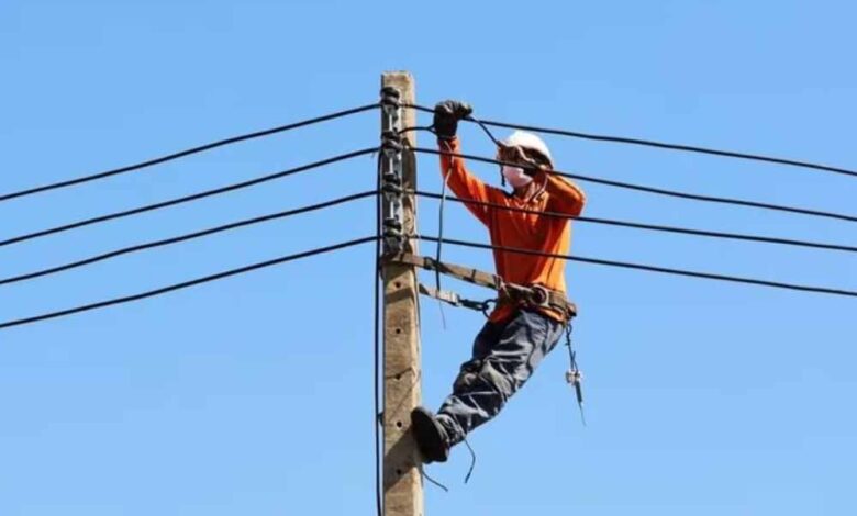 एमपी में 10वीं पास युवाओं के लिए सुनहरा मौका: बिजली विभाग में 3000 पदों पर निकली भर्ती