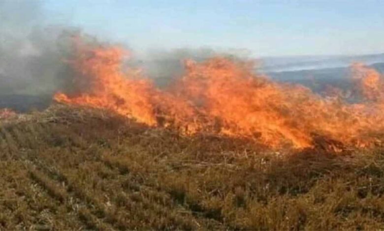 नरवाई जलाना खेत और सेहत दोनों के लिए हानिकारक : कृषि मंत्री कंषाना