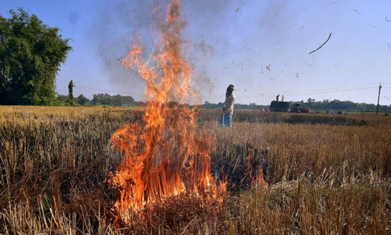 नरवाई जलाना खेत और सेहत दोनों के लिए हानिकारक : कृषि मंत्री कंषाना