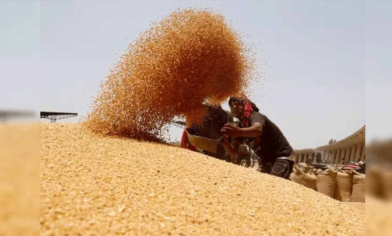 4 लाख 88 हजार किसानों से 19 लाख 90 हजार मीट्रिक टन गेहूं का हुआ उपार्जन